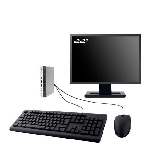 HP ProDesk 600 G3 PC Mini - Pantalla de 22', Intel i3-6100T, 32GB RAM, 960GB SSD, Windows 11