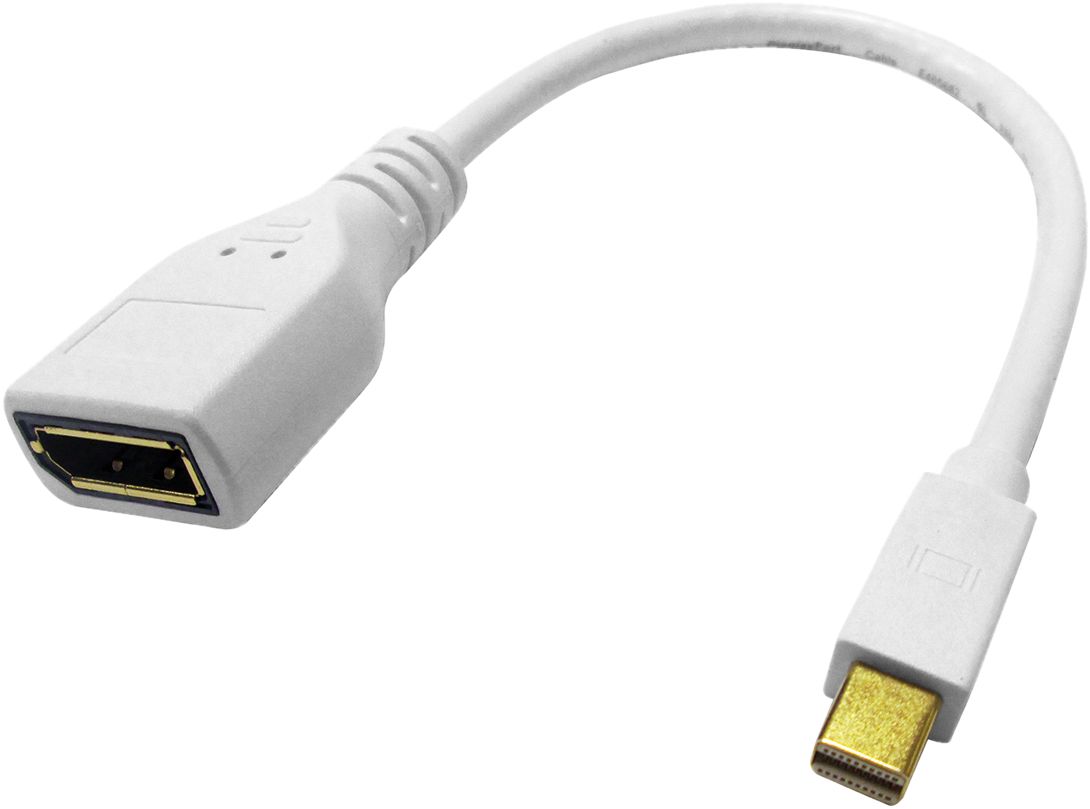 Roline Mini DisplayPort to DisplayPort Adapter, White