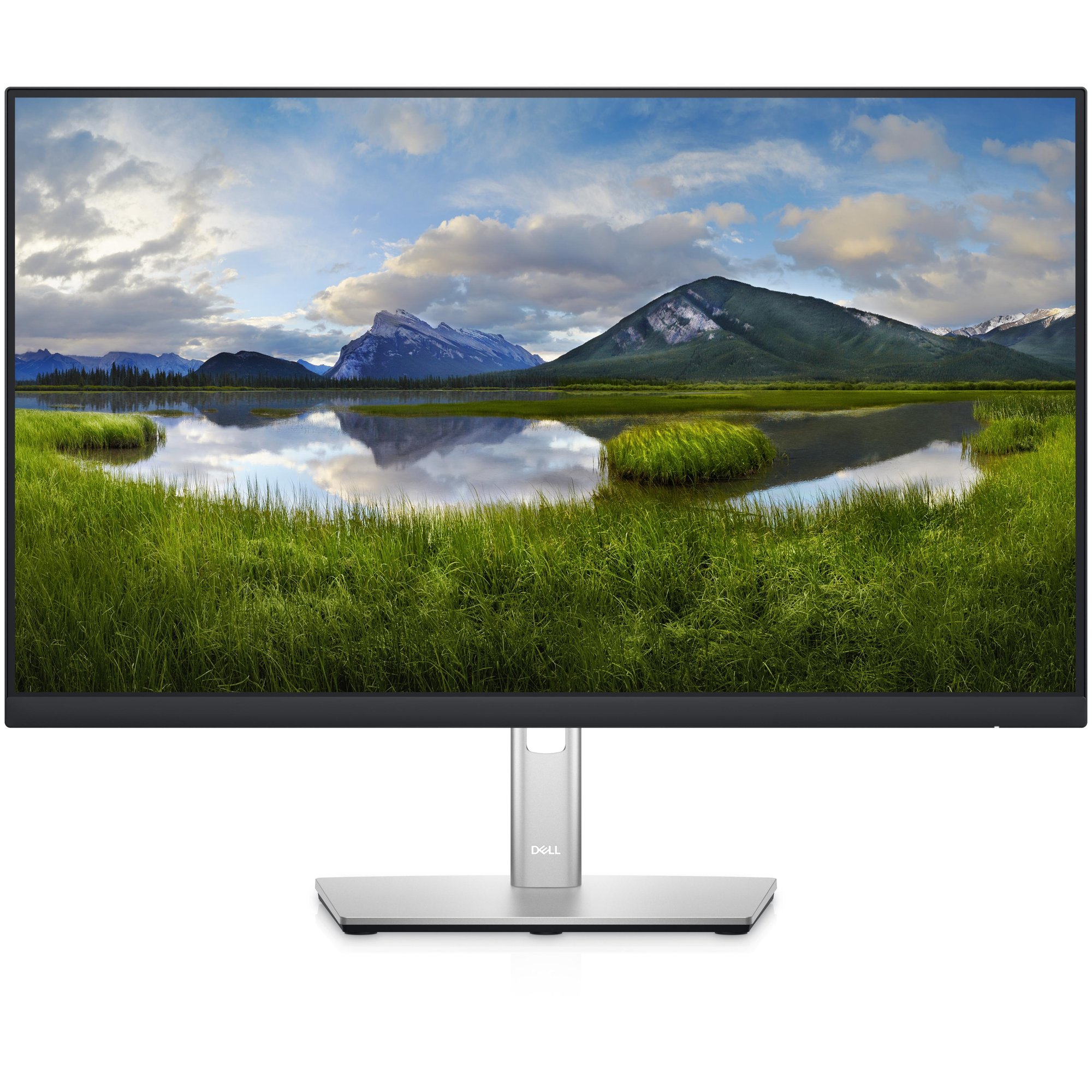 Monitor Dell P Series P2422HE de 23,8" Full HD LCD