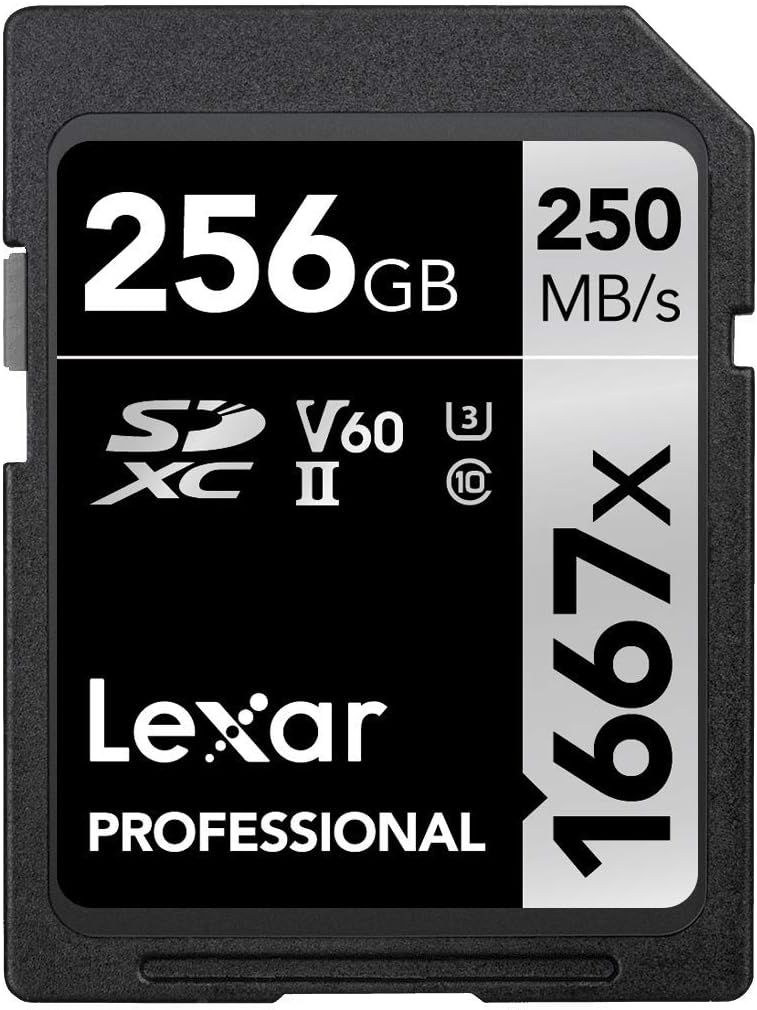 Professional 256GB SDXC UHS-II Card, 1667x Speed, Class 10, U3, V60, for Professional Photographers and Videographers