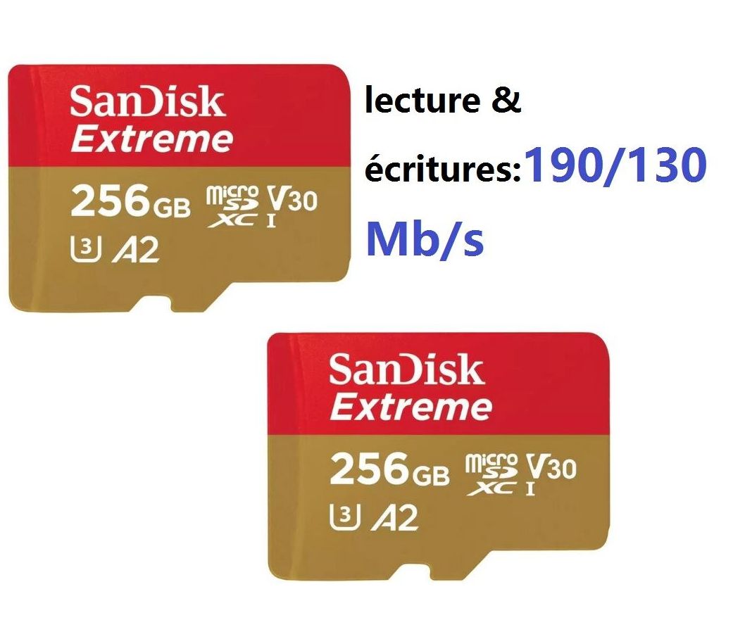 Tarjeta de memoria SanDisk Extreme 256 GB microSDXC (Clase 10)
