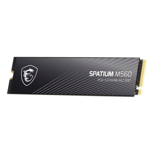 SSD MSI Spatium M560 PCIe 5.0 NVMe M.2 - 1 TB