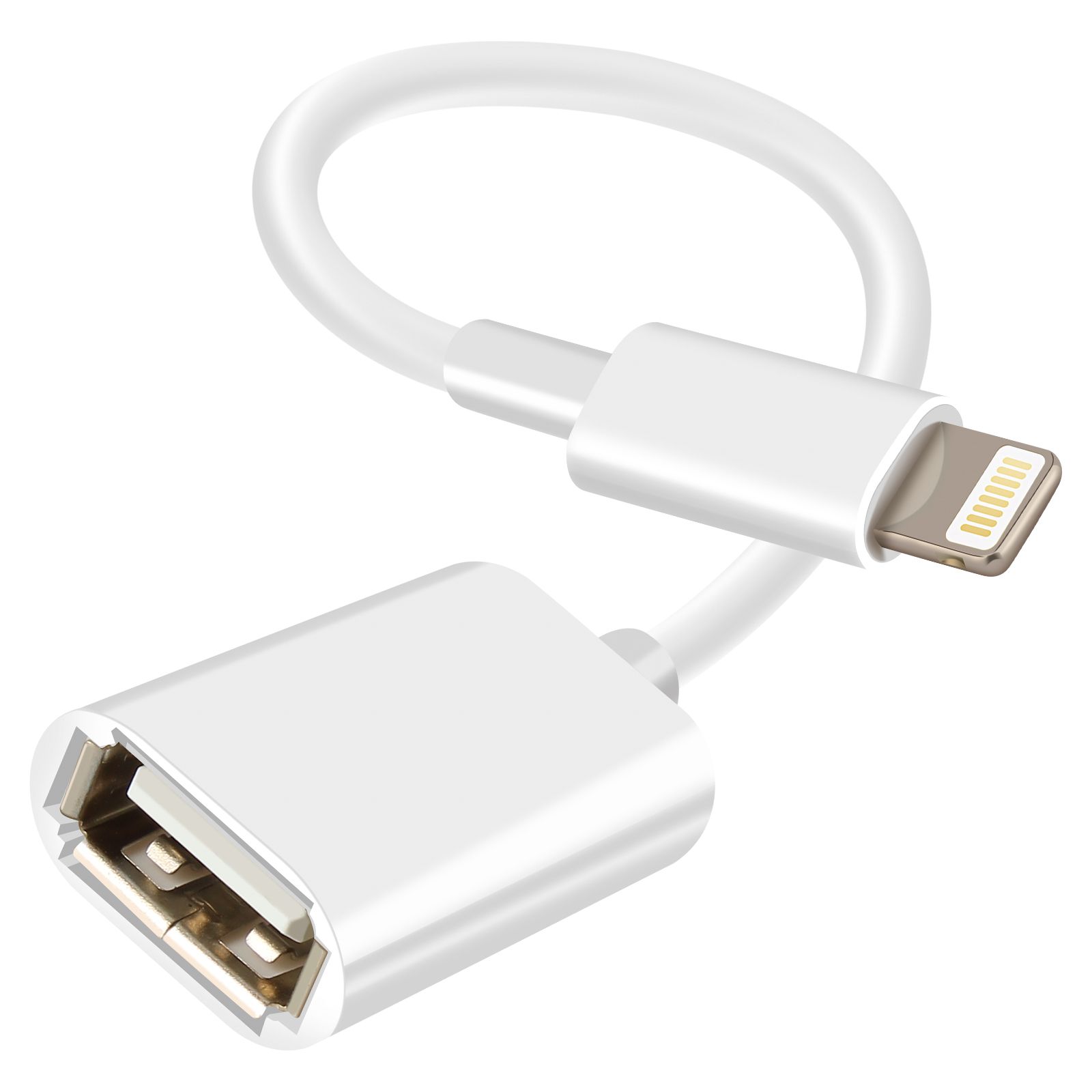 Avizar Lightning to USB OTG Adapter