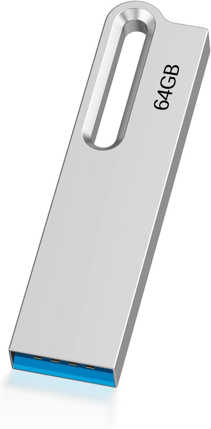 64GB USB 3.0 Flash Drive, Waterproof Metal Keychain with 64GB Storage for Computer/Laptop Backup (3.0, Silver)