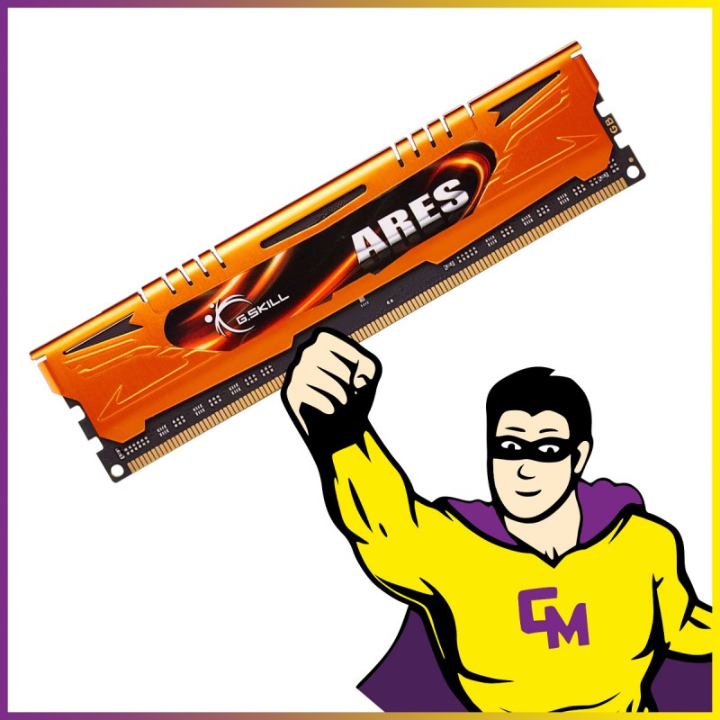 Memoria RAM G.Skill de 4 GB (F3-2133C11D-8GAO)
