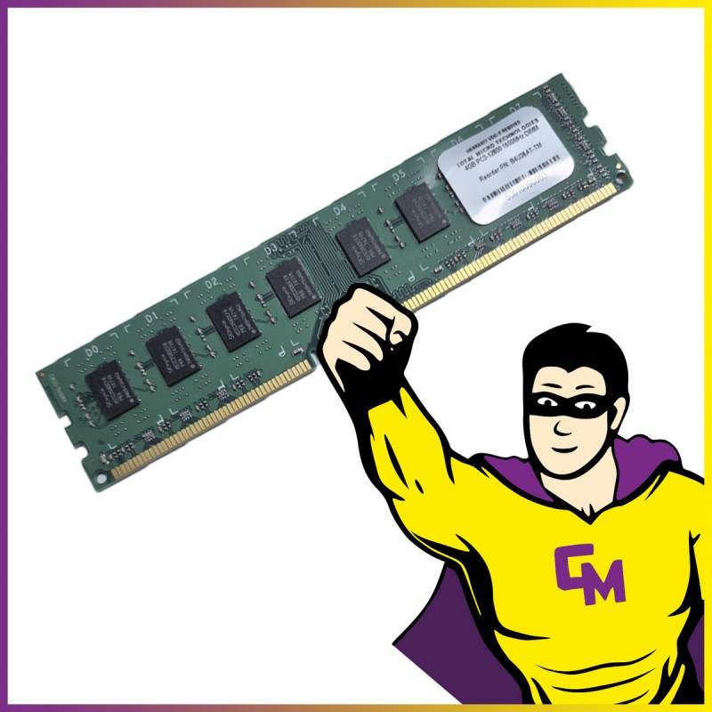 4GB DDR3 RAM (B4U36AT-TM) by Total Micro Technologies