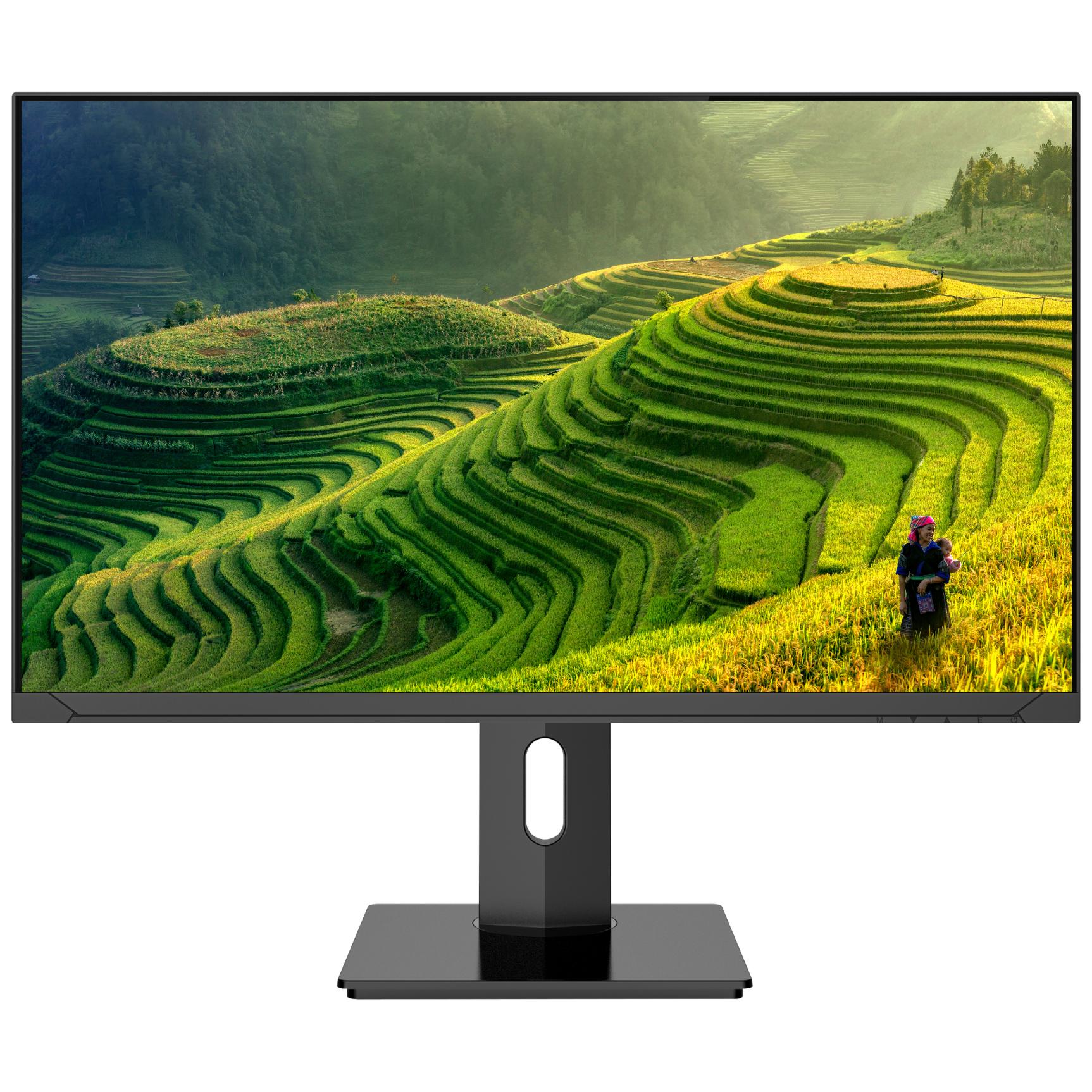 Japannext JN-IPS2380UHDR-C65W-HSP 23.8-Inch 4K Ultra HD LED Monitor