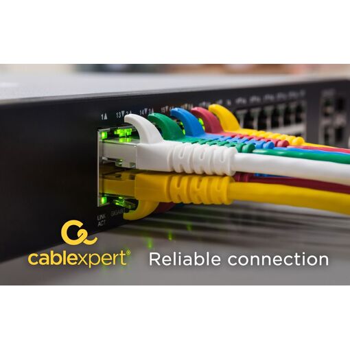 Gembird Cat6 S/FTP Network Cable, 15m, Violet