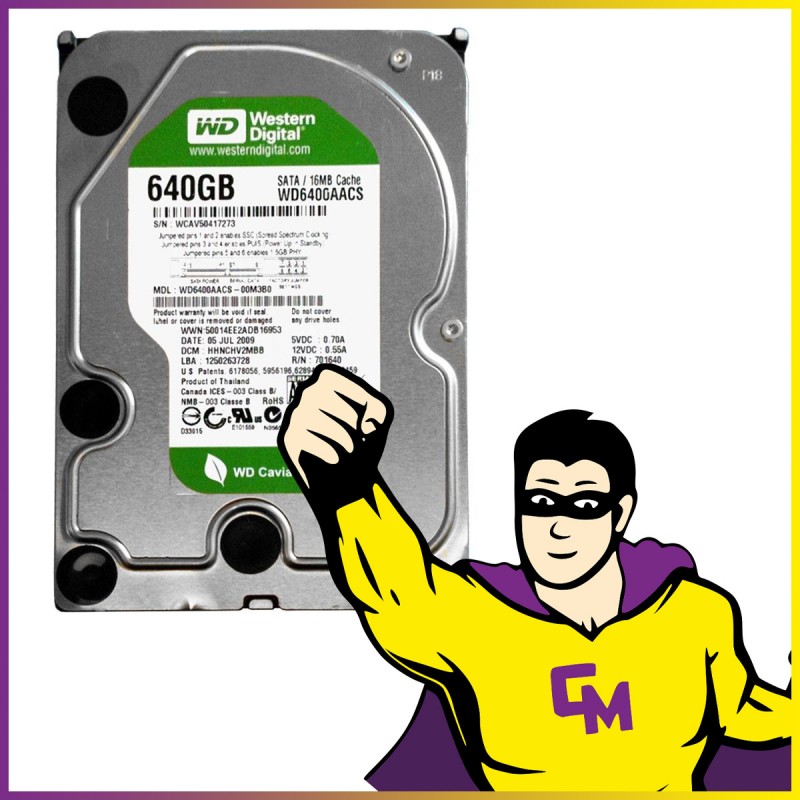Disco duro interno Western Digital 640 GB 3,5" SATA II