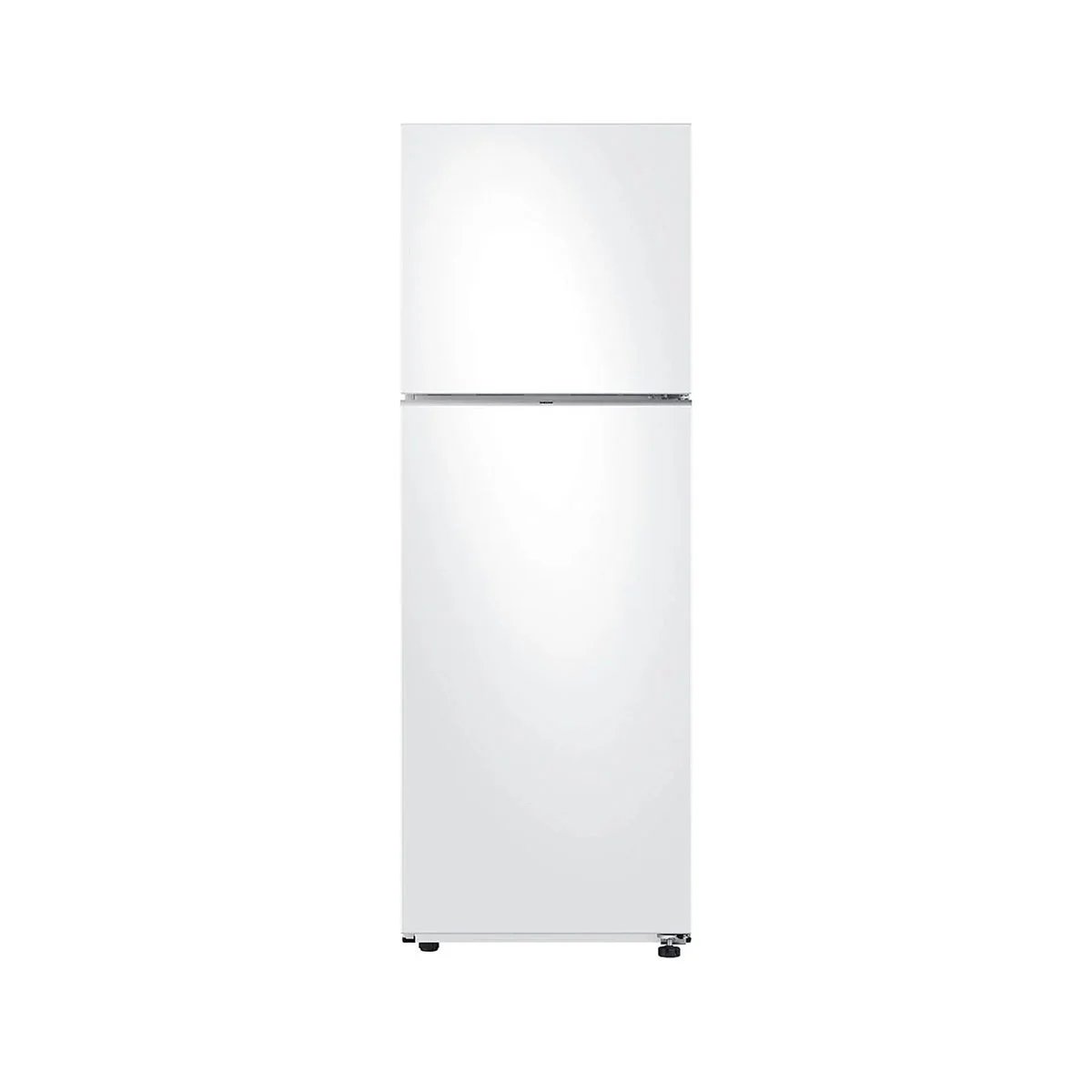 Samsung 2-Door Refrigerator 305L - White - RT31CG5624WWES
