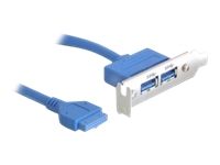 Soporte para montaje Delock - Panel USB con cabeza de 19 pines para USB tipo A (Femenino) - 40 cm
