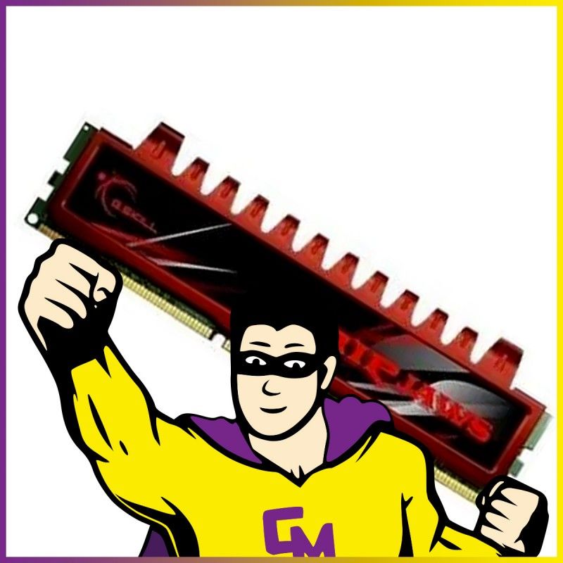 Barrette G.Skill RIPJAWS F3 4 Go DDR3 1333 MHz CL9