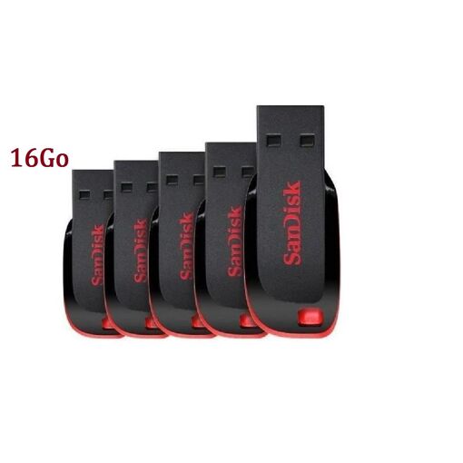SanDisk Cruzer Blade 16GB USB Drive (Pack of 5)