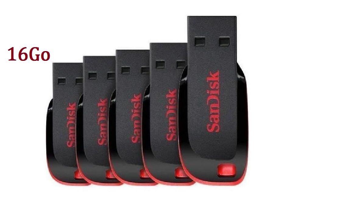 SanDisk Cruzer Blade 16GB USB Drive (Pack of 5)