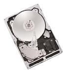 Maxtor Atlas 10K V - 3.5" Internal Hard Drive - 147.1GB - Ultra320 SCSI - 80-pin Centronics (SCA-2) - 10,000 RPM - 8MB Buffer