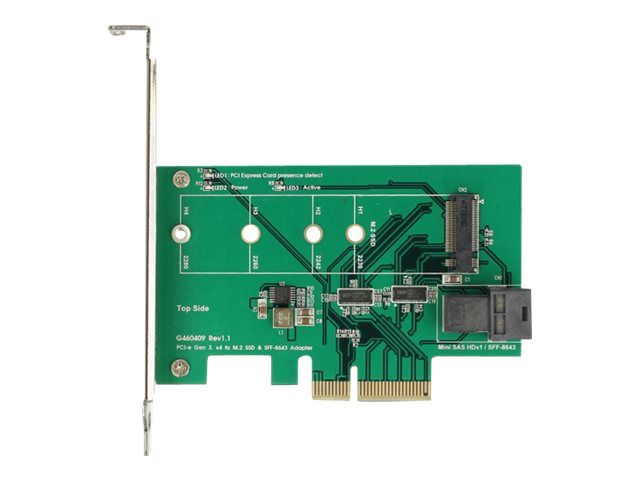 Tarjeta Delock PCI Express - Controlador de almacenamiento NVMe M.2
