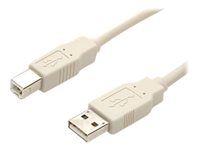 Câble StarTech.com USB 2.0 A vers B de 91 cm - Beige