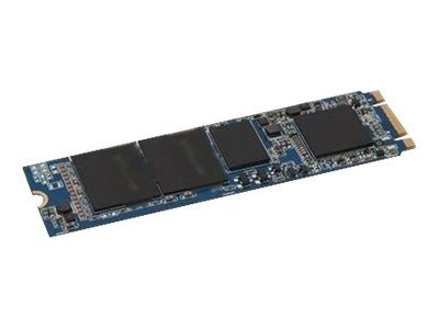 Dell 256GB SSD M.2 2280 SATA Internal Drive