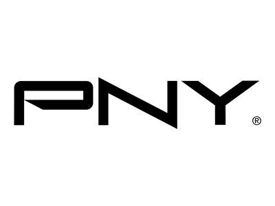 PNY 4GB DDR3L SO-DIMM Memory Module (204-Pin, 1600MHz, PC3L-12800, 1.35V, Unbuffered, Non-ECC)