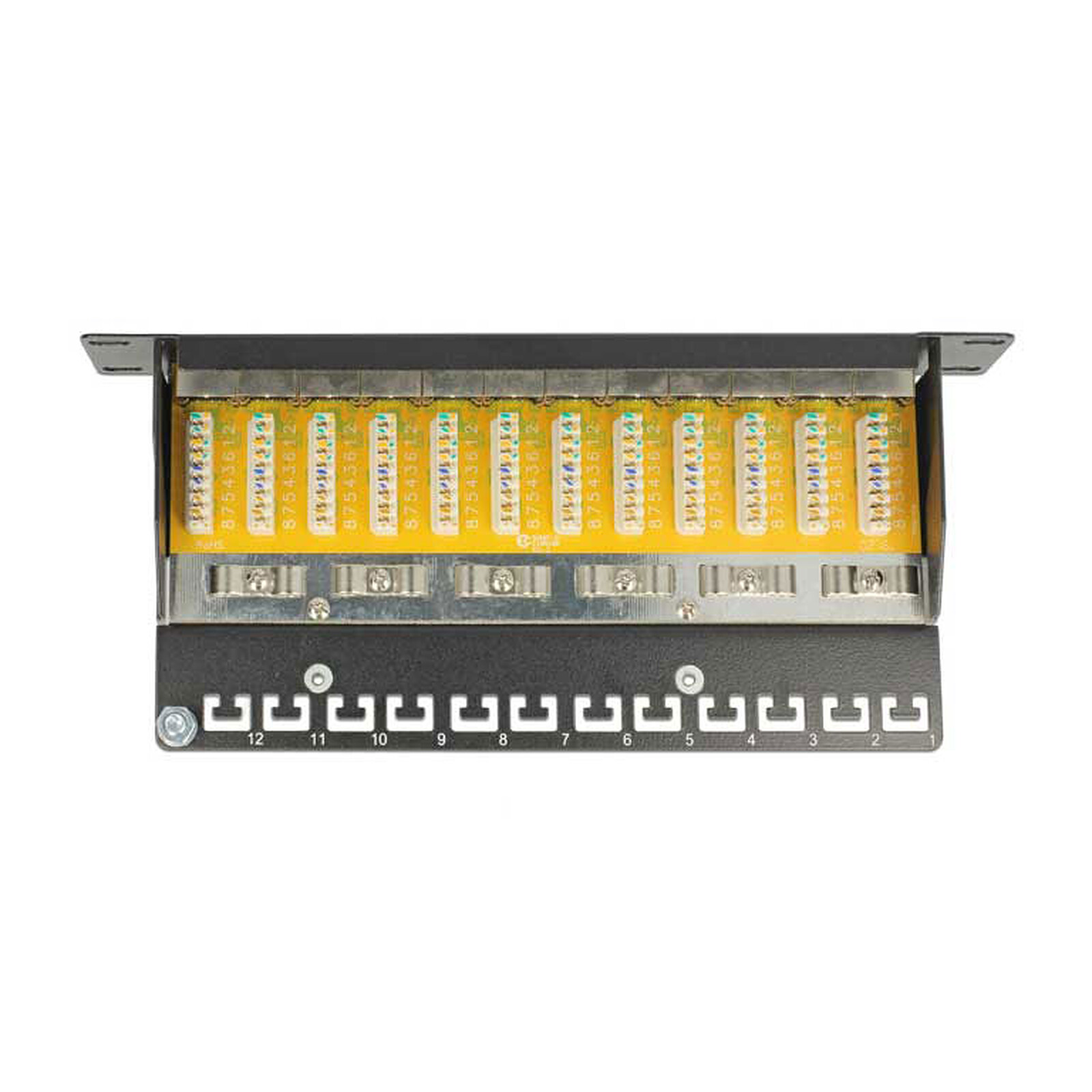 DeLock 10" 1U 12-Port RJ-45 Cat.6 Patch Panel