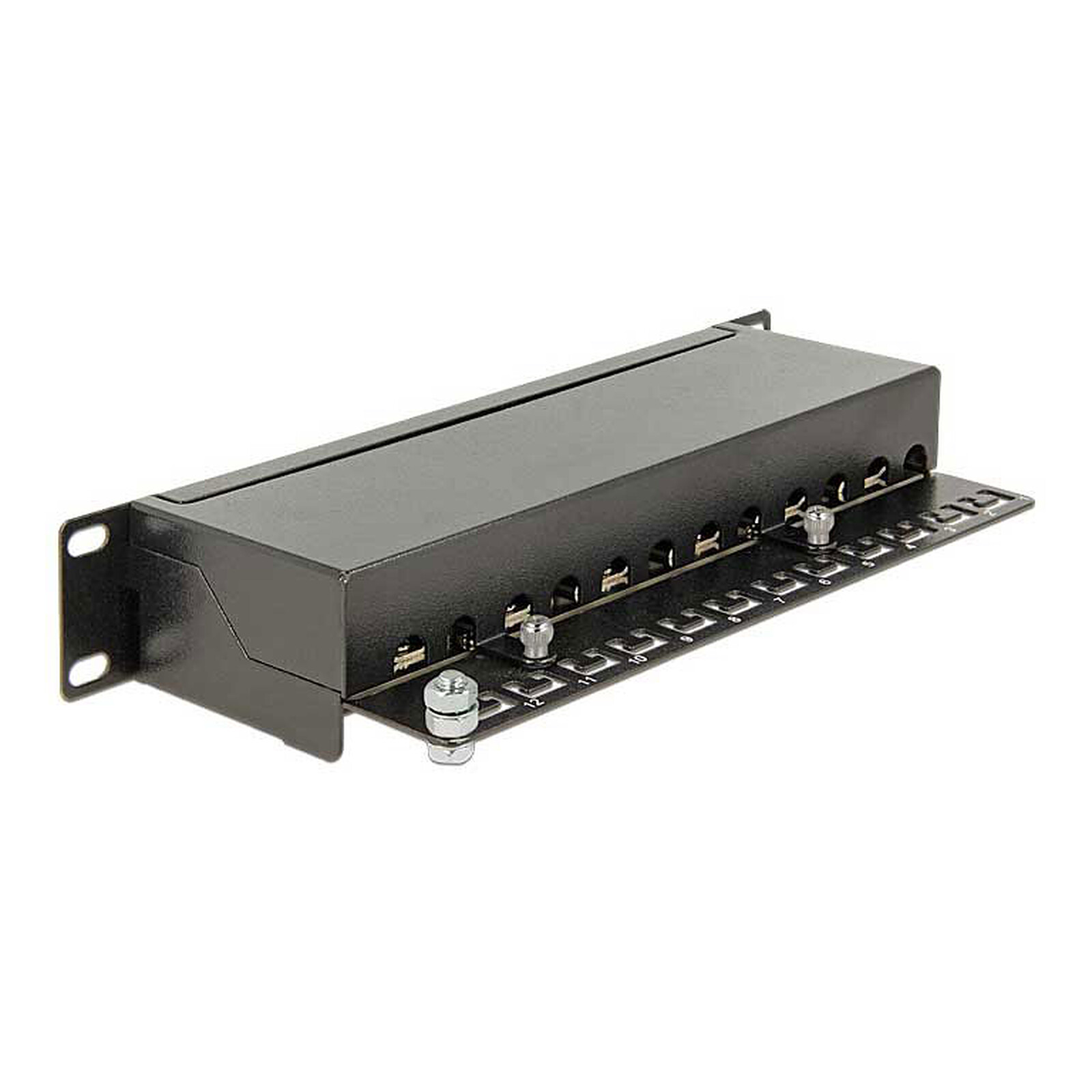 DeLock 10" 1U 12-Port RJ-45 Cat.6 Patch Panel