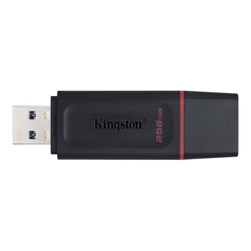 Kingston DataTraveler Exode - USB Flash Drive - 256GB - USB 3.2 Gen 1 - Black/Pink