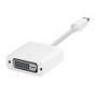 Apple Mini DisplayPort to DVI Adapter (MB570Z-A)