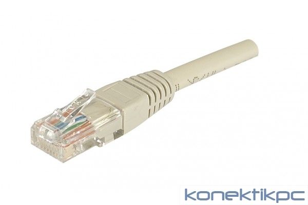 Câble Exertis Connect RJ-45 - 1m UTP CAT 5e