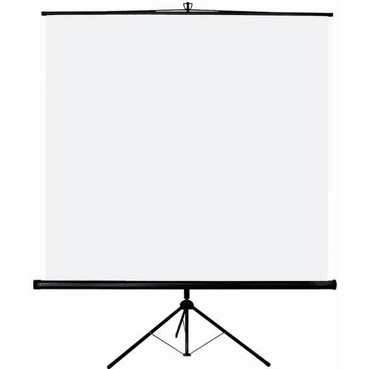 INOVU Tripod Screen - 1:1 Ratio - 47.2 x 47.2 inches