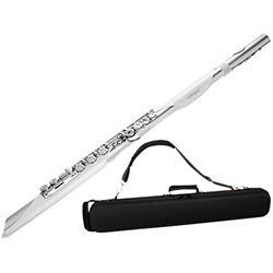 Roland Aerophone Brisa