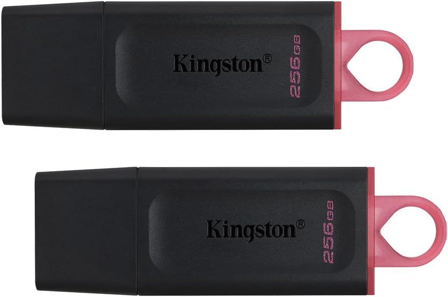 Kingston Datatraveler Exodia 256GB USB 3.2 Flash Drive (2 Pack)