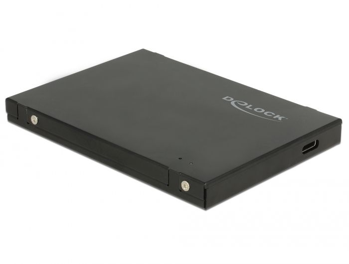 Delock M.2 SSD Enclosure - Black