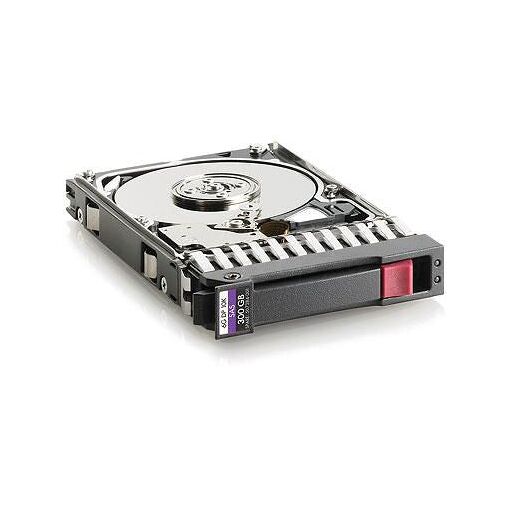 Unidad de estado sólido HP Enterprise 300 GB SAS 10.000 RPM 2,5" (W125833984)