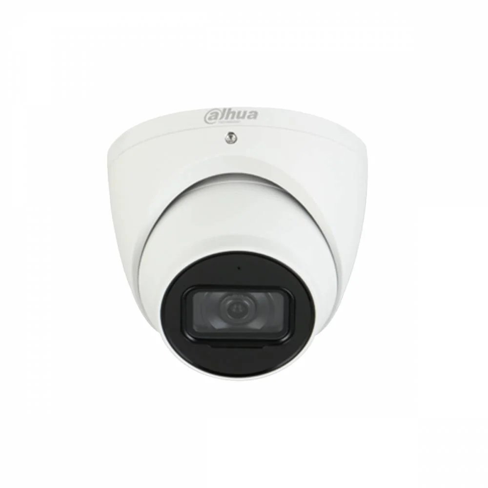 DAHUA 5MP IR Fixed-Focal Eyeball Network Camera (DH-IPC-HDW5541TM-ASE)