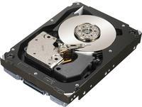 Dell 300GB Internal SAS Hard Drive 2.5-inch