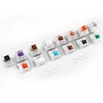 Glorious PC Gaming Race Switches Sample Pack