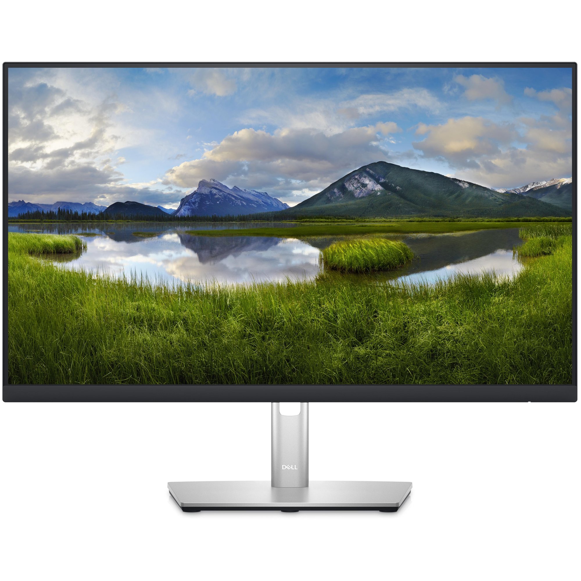 Dell P Series 24 USB-C Monitor - P2423DE