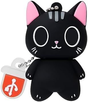 VBSUDGYDFG 64GB USB Flash Drive