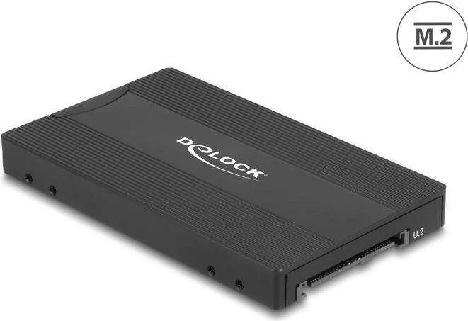 Delock U.2 to M.2 NVMe SSD Converter Cable
