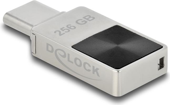 Delock 256GB USB-C Flash Drive (54009)