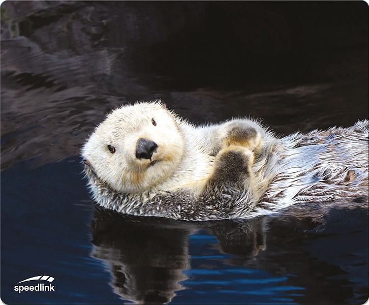 Speedlink SILK OTTER Gaming Mouse Pad