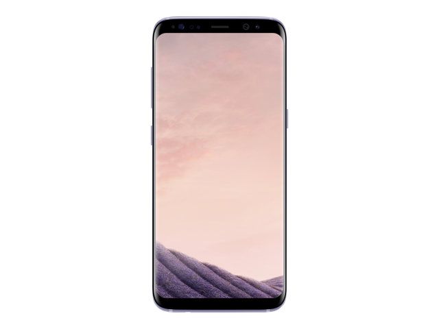 Samsung Galaxy S8+ 64GB Dual SIM Gray