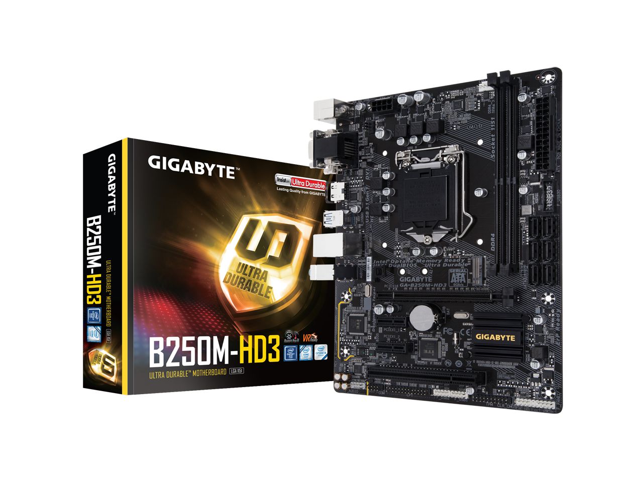 Gigabyte GA-B250M-HD3 Motherboard, compatible con procesadores Intel Core de 7ª y 6ª generación