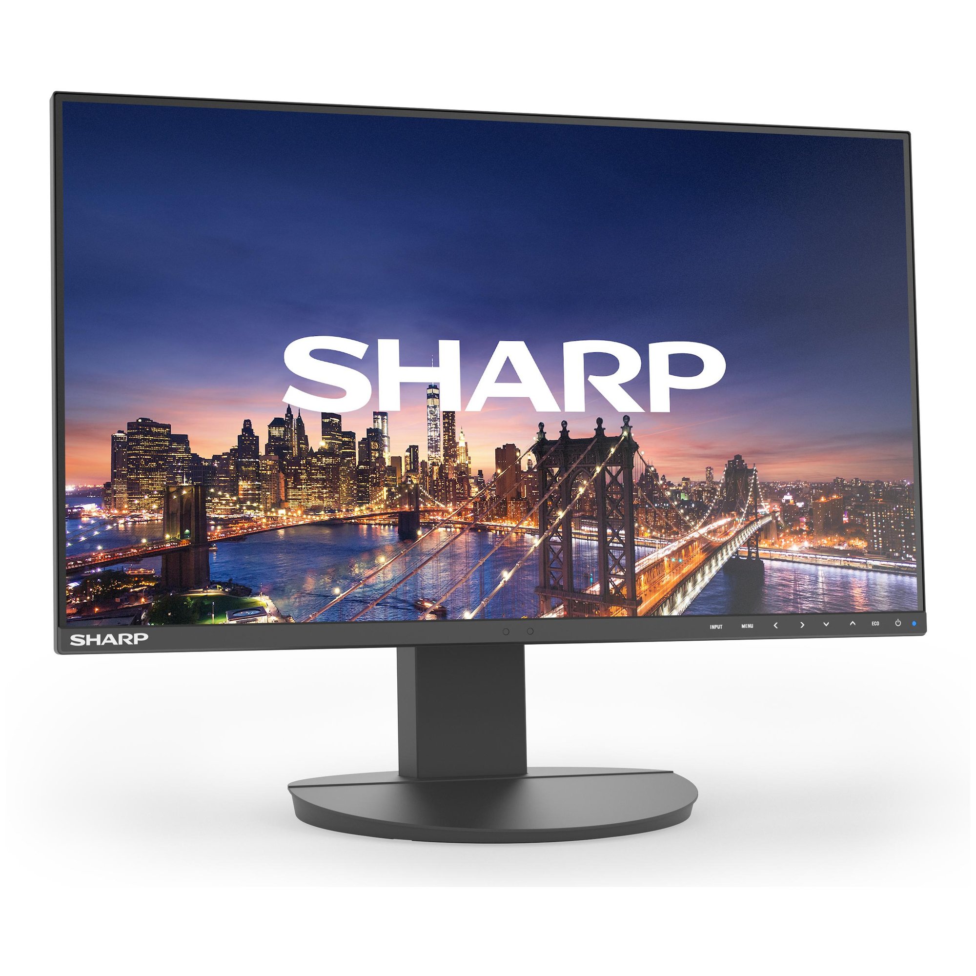 Sharp MultiSync EA241F 24-inch Full HD LCD Monitor, Black