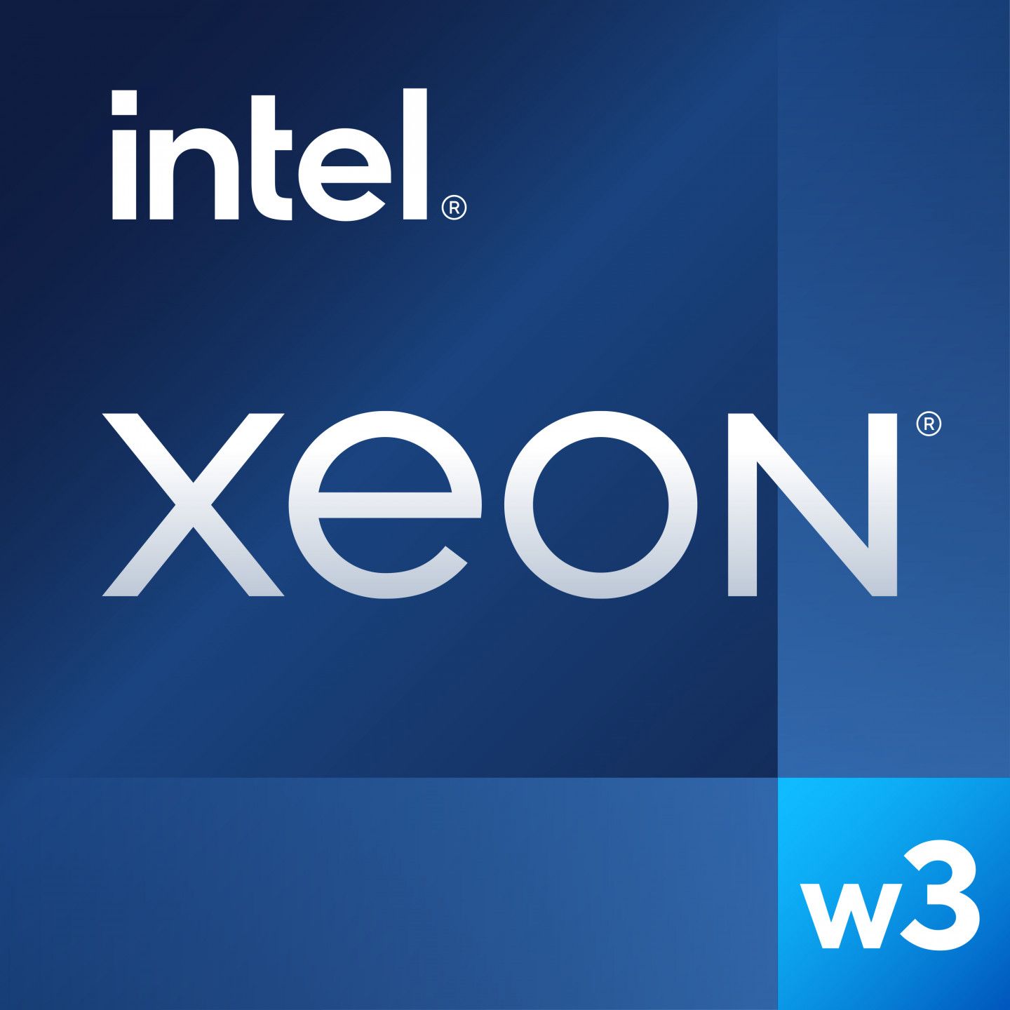 Procesador Intel Xeon W W3-2435 - 3.1 GHz, 8 núcleos (3.10 GHz, 8 núcleos)