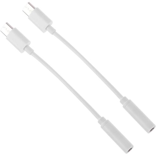 Subzonal 2-Piece USB-C to Headphone Adapter