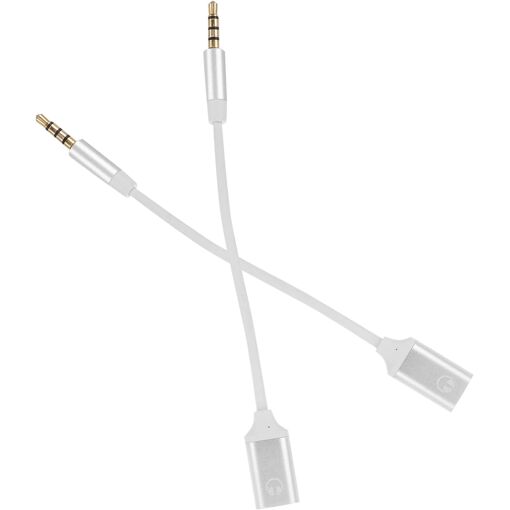 Adaptador USB-C a Jack de 2 Piezas - Plata