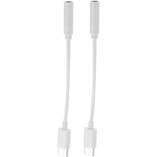 Subzonal 2-Piece USB-C to Audio Adapter Cable, White