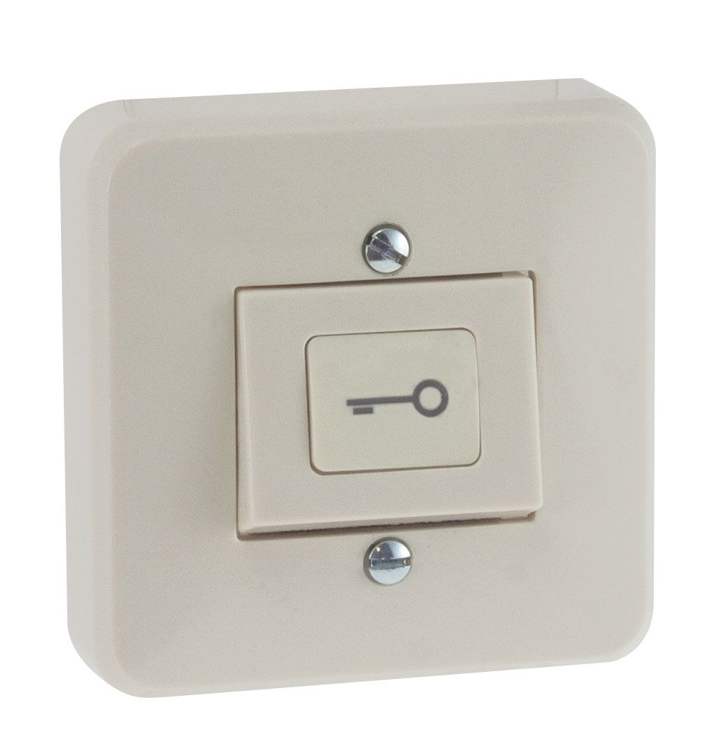 Key Symbol Push Button Switch - IZYX - EXS100K