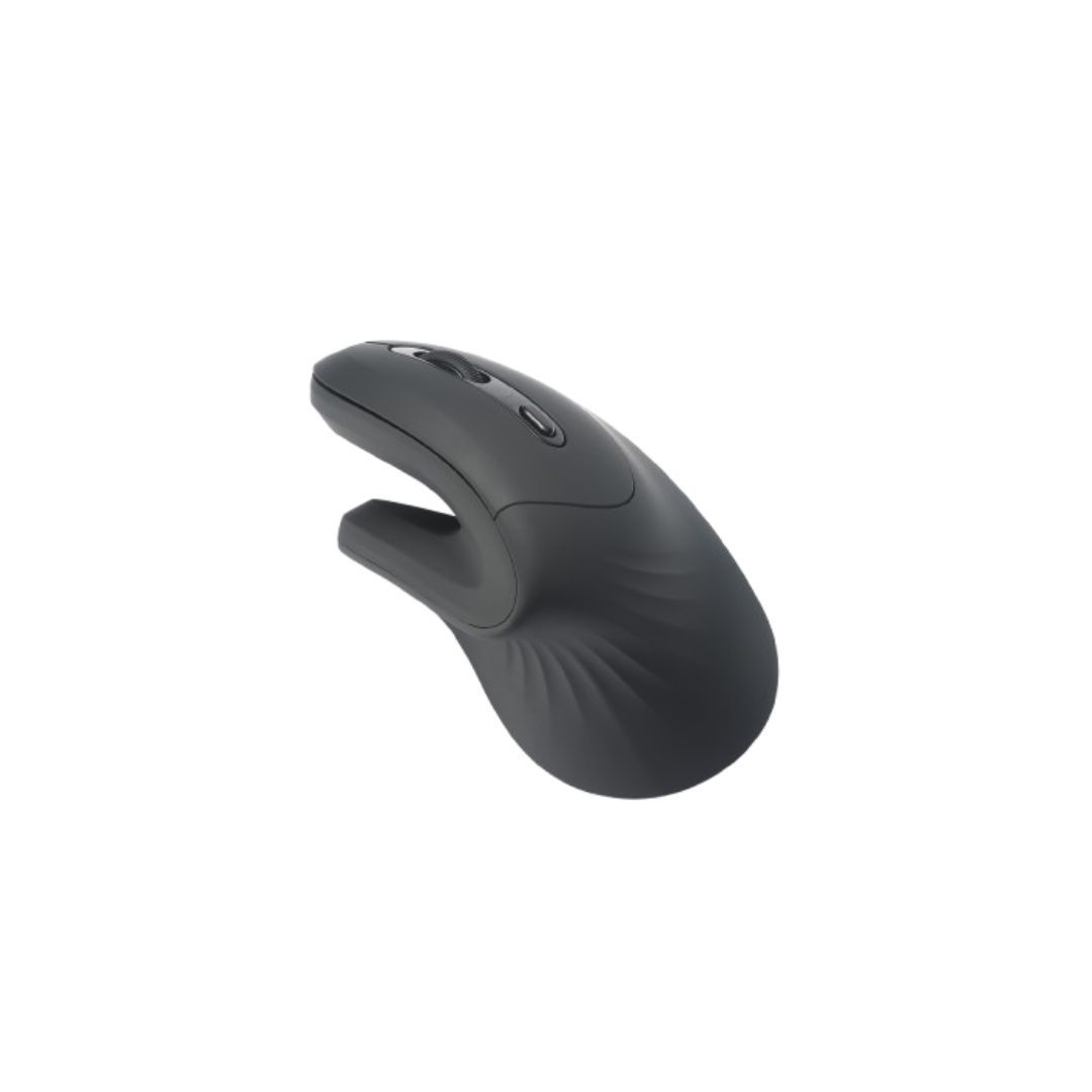 WE Ergonomic Mouse 2-in-1 Bluetooth + 2.4GHz, 5 Buttons and 1 Wheel DPI 800-1200-1600 Black, 2 AAA Batteries Included